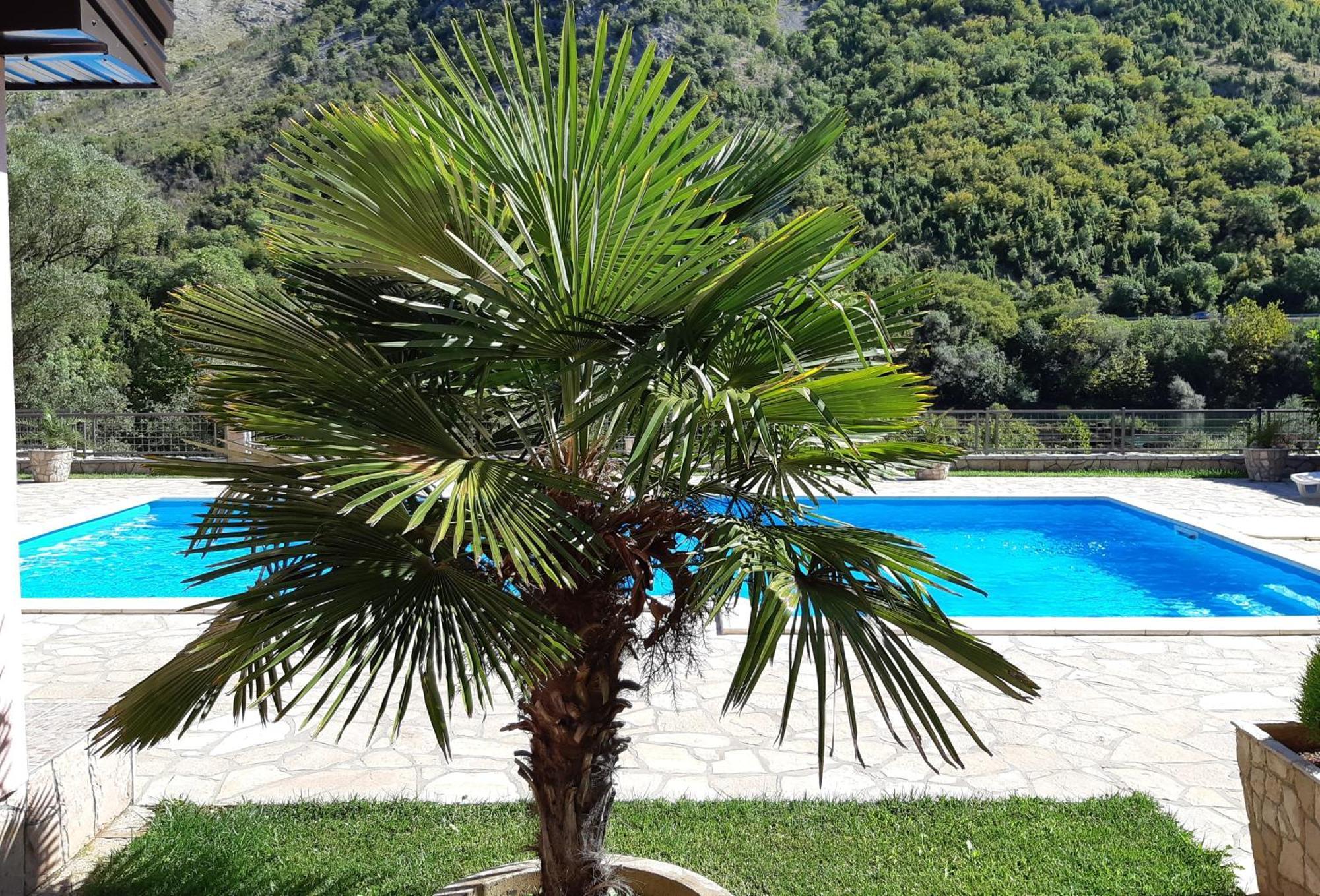 Вілла Hacienda Neretva Buna Екстер'єр фото
